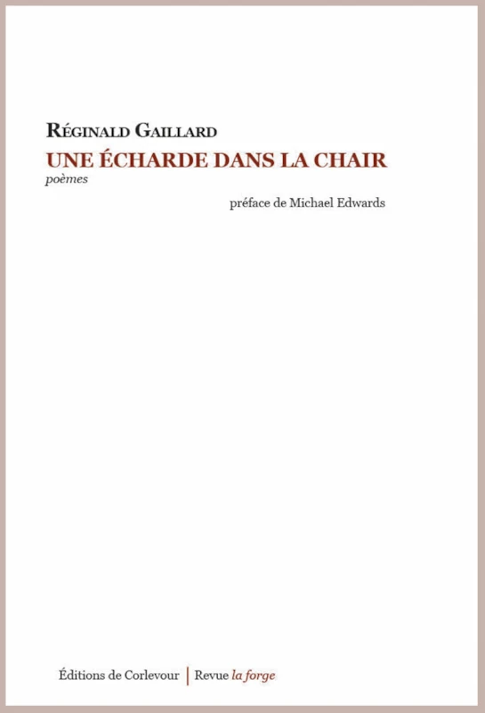 Une écharde dans la chair